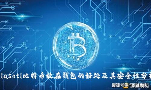 biasoti比特币放在钱包的好处及其安全性分析