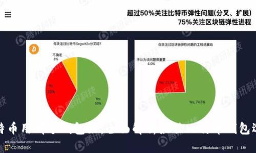比特币用哪个钱包好:全面解析最佳比特币钱包选择