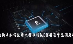 : 狗狗币如何使用比特币钱包？详解及常见问题解