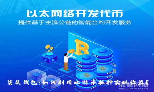 袋鼠钱包：如何利用比特币抵押实现收益？