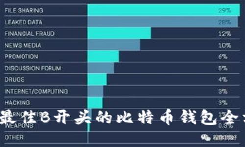 2023年最佳B开头的比特币钱包全方位介绍