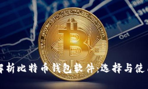 全面解析比特币钱包软件:选择与使用指南