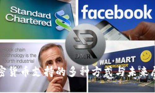 加密货币支持的多种方式与未来展望