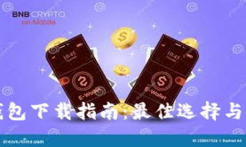 比特币钱包下载指南:最佳选择与使用技巧