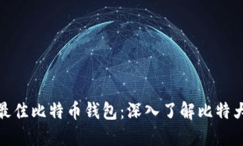 如何选择最佳比特币钱包:深入了解比特大陆的选择