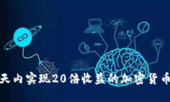 如何在一天内实现20倍收益的加密货币投资策略