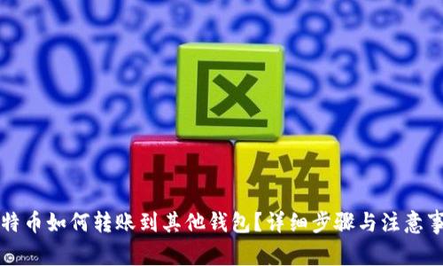 比特币如何转账到其他钱包?详细步骤与注意事项
