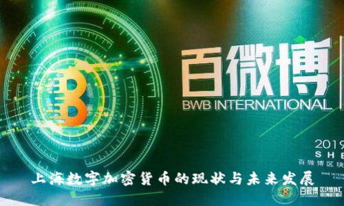 上海数字加密货币的现状与未来发展