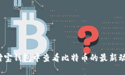 如何在支付宝钱包中查看比特币的最新动态和价格?