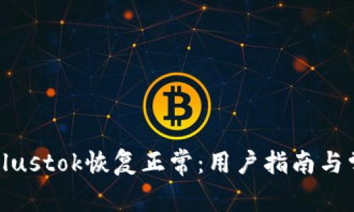 比特币钱包Plustok恢复正常:用户指南与常见问题解答