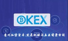 贵州加密货币：发展现状与未来前景分析