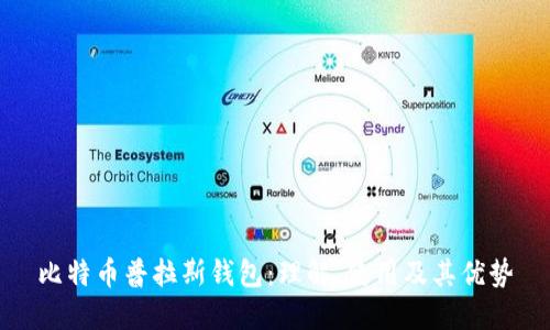 比特币普拉斯钱包:理解、使用及其优势