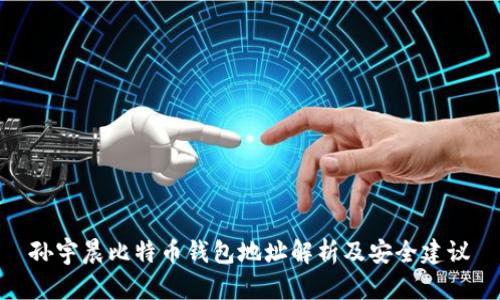 孙宇晨比特币钱包地址解析及安全建议