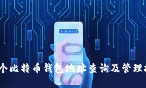 10个比特币钱包地址查询及管理技巧