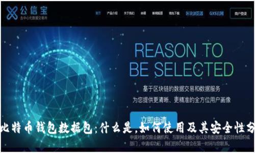 : 比特币钱包数据包:什么是,如何使用及其安全性分析