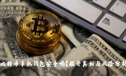 比特币手机钱包安全吗?揭开真相与风险分析