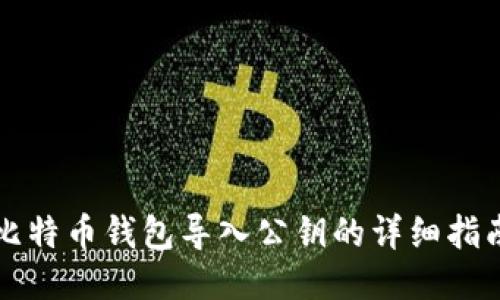 比特币钱包导入公钥的详细指南