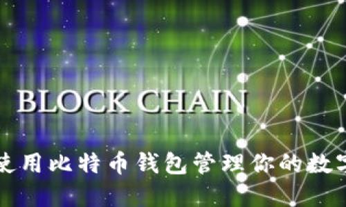 如何使用比特币钱包管理你的数字资产