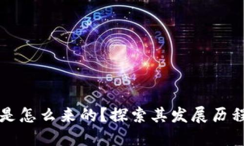 比特币钱包是怎么来的?探索其发展历程与技术原理