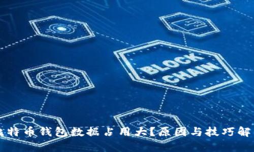 比特币钱包数据占用大?原因与技巧解析