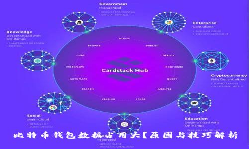 比特币钱包数据占用大?原因与技巧解析