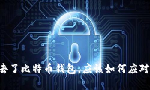 当你失去了比特币钱包，应该如何应对和恢复？