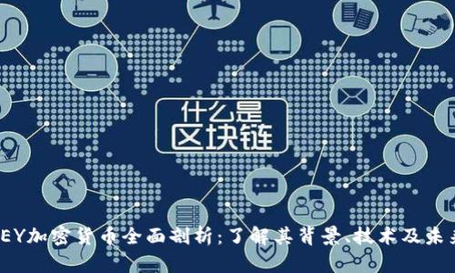 WESLEY加密货币全面剖析:了解其背景、技术及未来发展