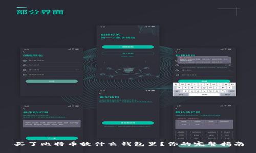 买了比特币放什么钱包里?你的完整指南