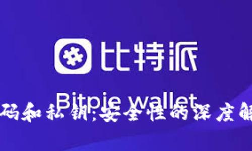 比特币钱包密码和私钥:安全性的深度解析与保护方法
