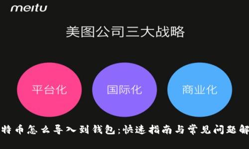 比特币怎么导入到钱包:快速指南与常见问题解答