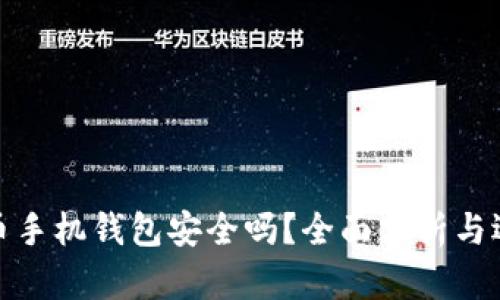 : 比特币手机钱包安全吗?全面分析与选择指南