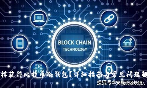 怎样获得比特币冷钱包?详细指南与常见问题解析