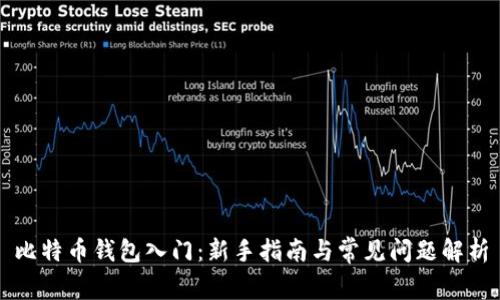 比特币钱包入门:新手指南与常见问题解析
