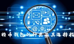 比特币钱包的种类及其选择指南