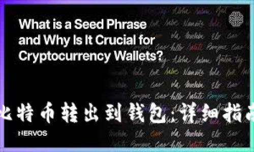 如何将比特币转出到钱包:详细指南与技巧