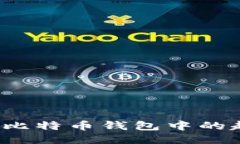 如何防止比特币钱包中的超额转账？