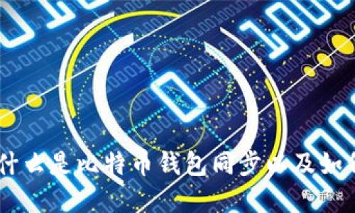 : 比特币钱包同步详解:什么是比特币钱包同步以及如何影响你的加密资产安全