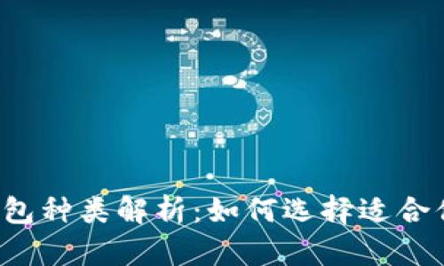 比特币钱包种类解析:如何选择适合你的钱包?