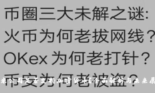 小米公司是否支持加密货币?全面解析与未来展望