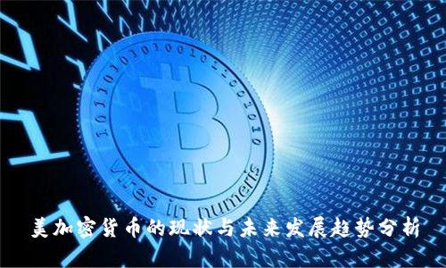美加密货币的现状与未来发展趋势分析