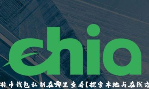 比特币钱包私钥在哪里查看?探索本地与在线方法
