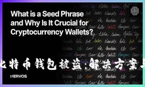 如何应对比特币钱包被盗:解决方案与安全措施