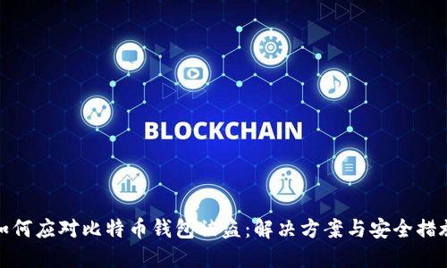 如何应对比特币钱包被盗:解决方案与安全措施