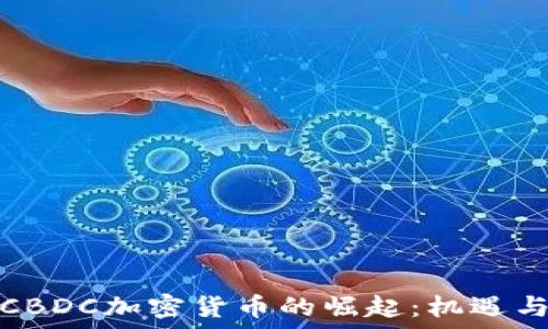 美版CBDC加密货币的崛起:机遇与挑战