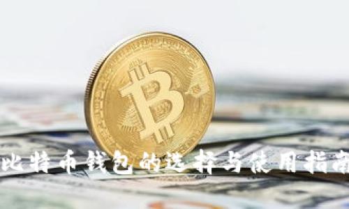 比特币钱包的选择与使用指南