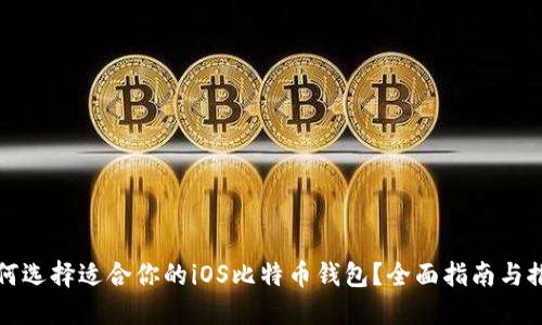 如何选择适合你的iOS比特币钱包?全面指南与推荐