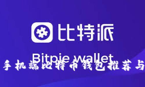 最佳苹果手机端比特币钱包推荐与使用指南