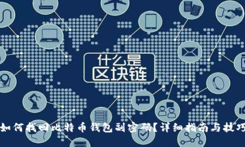 如何找回比特币钱包副密码?详细指南与技巧