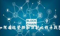 如何有效管理和保护比特币钱包