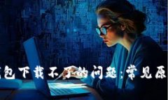 解决比特币钱包下载不了的问题：常见原因及解